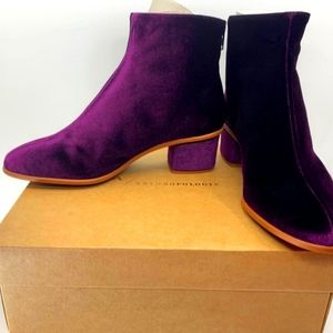 Purple Velvet Booties